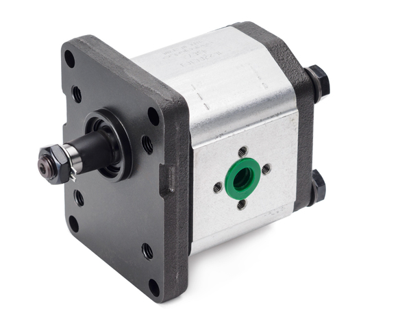 Pompa zębata pedro roquet pla